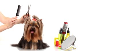 Баннер груминг салона