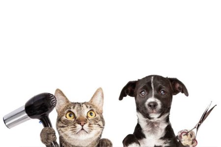Груминг собак и кошек