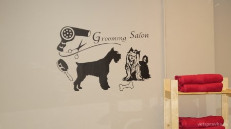 Баннер для груминга