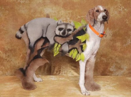 Смешные стрижки животных