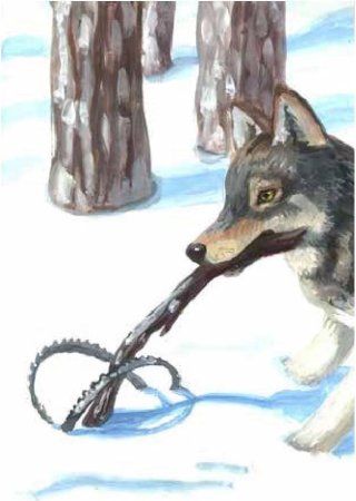 Собака в капкане рисунок