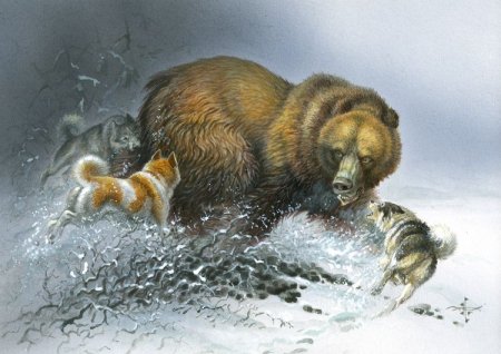Силки ловушки на зайца
