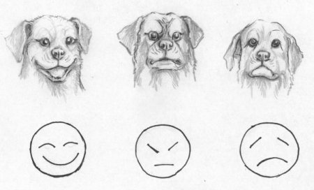 Мультяшные зарисовки животных