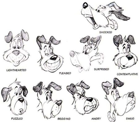 Эмоции животных в рисунках и фотографиях