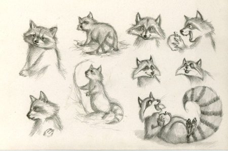 Волк эмоции