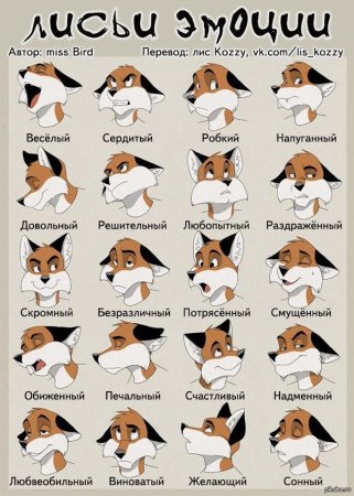 Голова волка сбоку референс