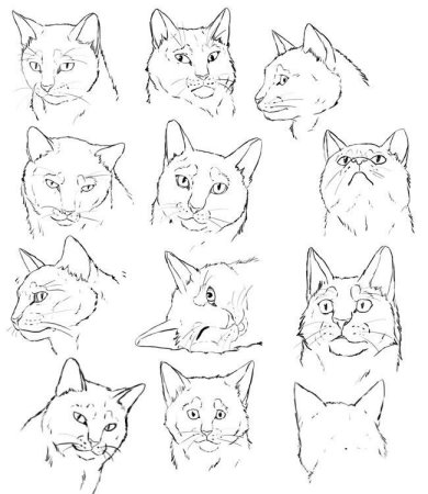Кошки эмоции скетч