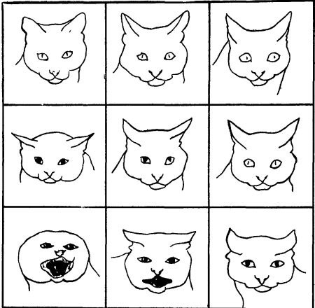 Мультипликация эмоций животных