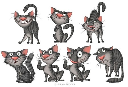 Балто референс