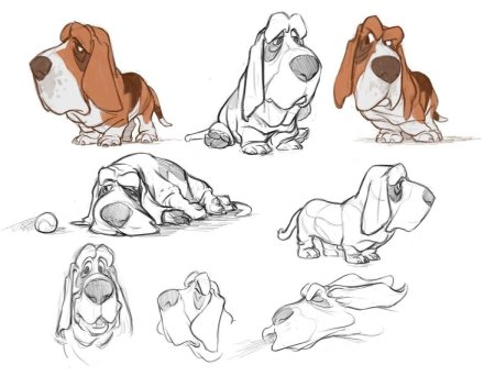 Эмоции котов воителей референс