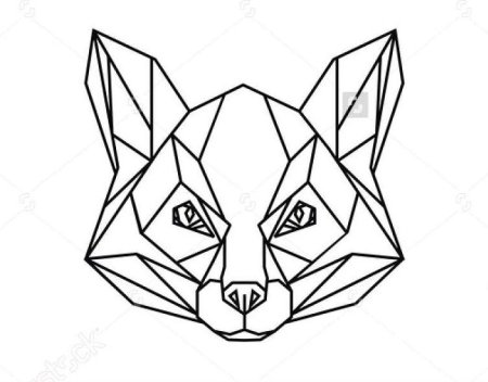 Лиса геометрия