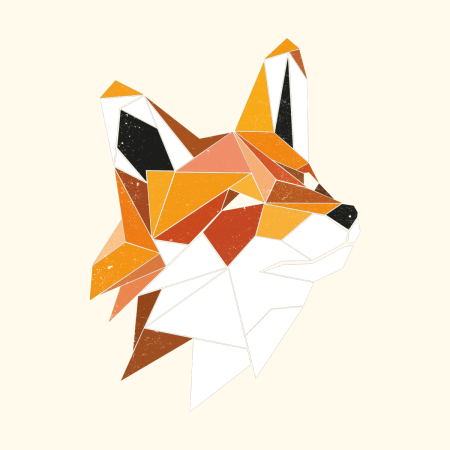 Лиса геометрия