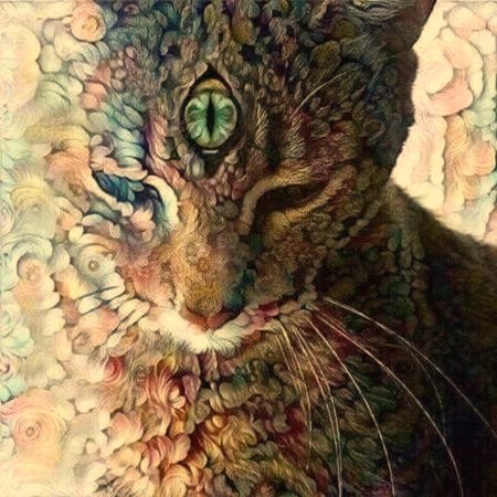 Психоделические кошки