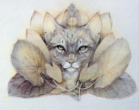 Тотемное животное кот