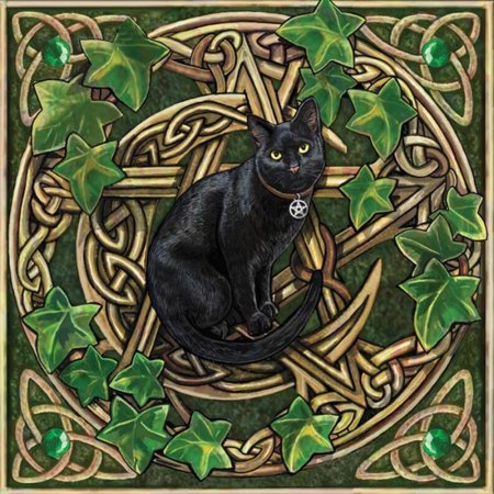 Кельтская кошка черная