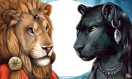 Лев и пантера