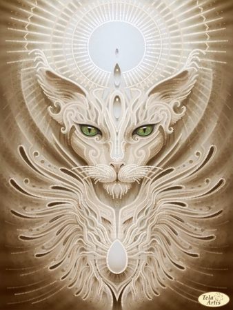 Эндрю Гонзалес (Andrew Gonzalez)