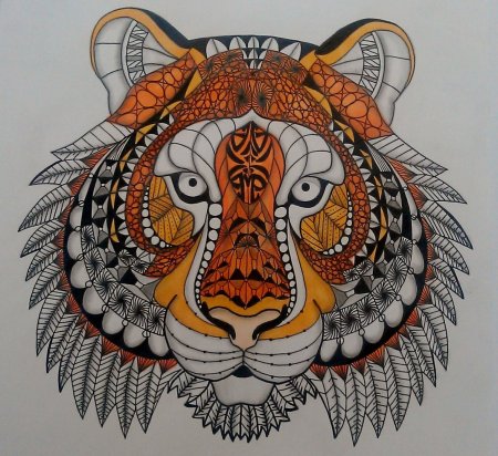 Тигр зенарт