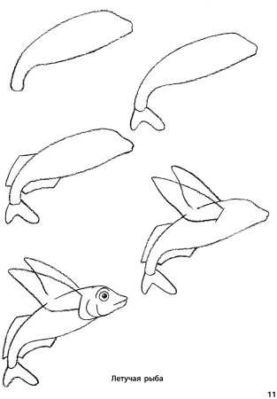 Схемы рисования морских животных