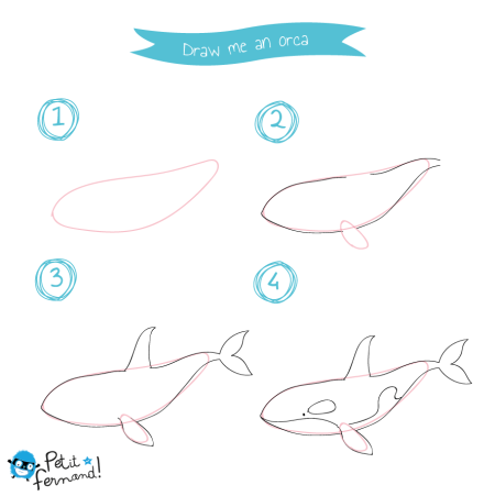 Тюлень рисунок для детей поэтапно