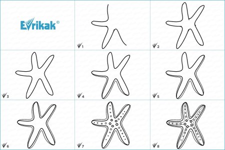 Как нарисовать морскую звезду