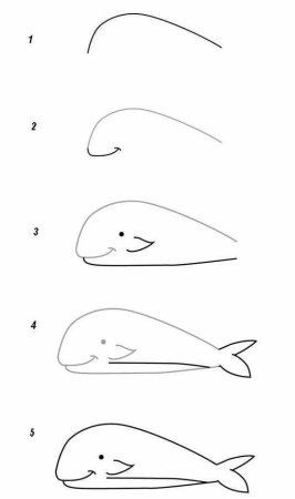 Кит поэтапное рисование