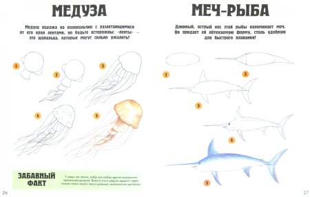 Схемы рисования морских обитателей для дошкольников