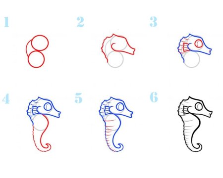 Нарисовать морского конька поэтапно