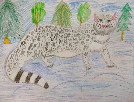 Животные красной книги рисунки