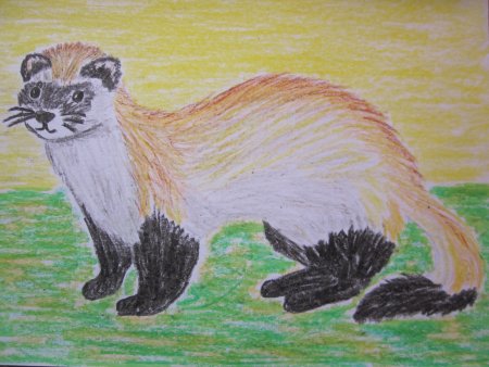 Рисунок любого животного