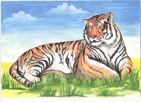 Рисунки животных из красной книги