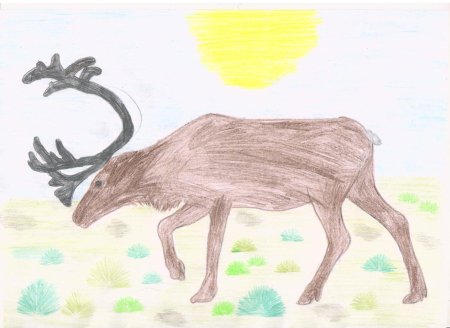 Рисование средняя группа олень