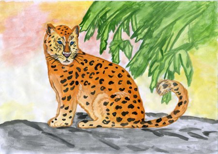 Амурский леопард рисунок