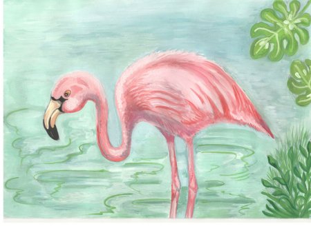 Фламинго карандашом