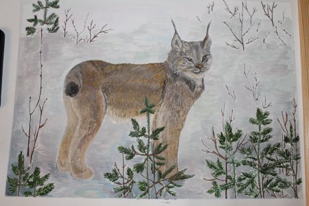 Рисование рыси для детей