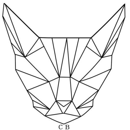 Морда кошка из геометрических фигур