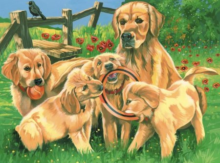 Кошка и собака иллюстрация