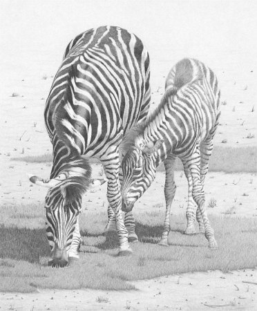 Рисунки с животными