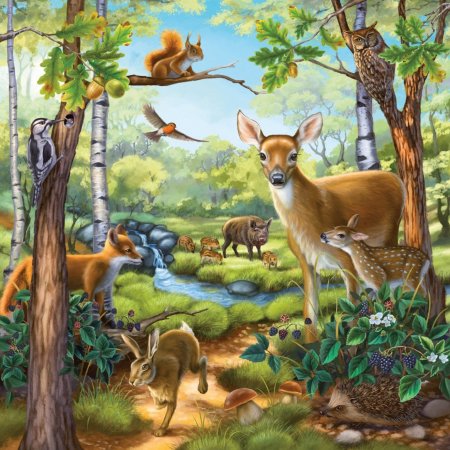 Звери в лесу