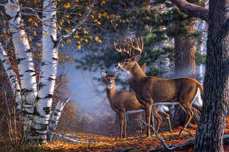 Художник James Meger