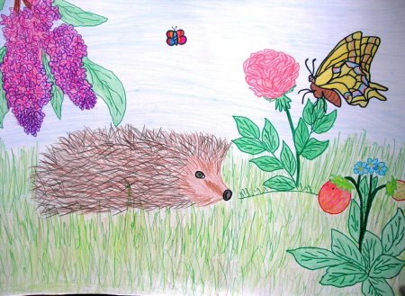 Рисунок наш край