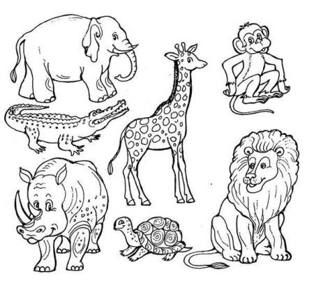 Дикие и домашние животные раскраска