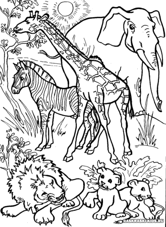 Раскраски. Животные