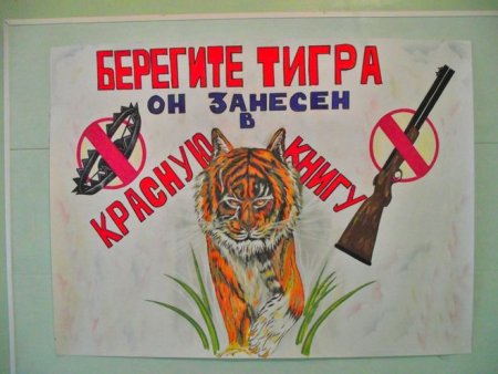 Плакат берегите животных