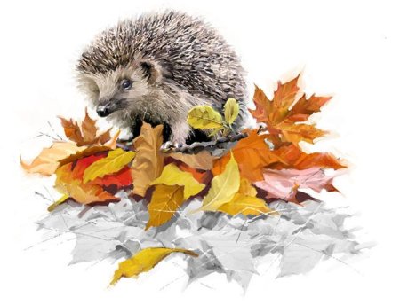 Животные осенью