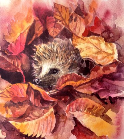 Осенние иллюстрации