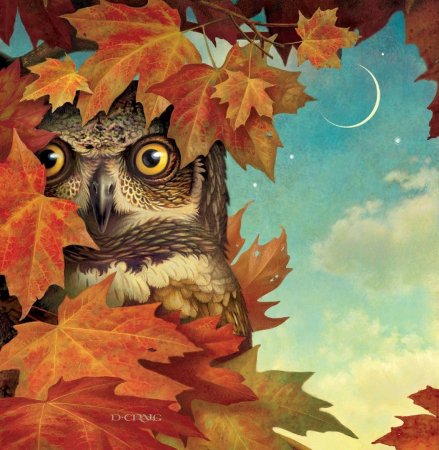 Сова осень
