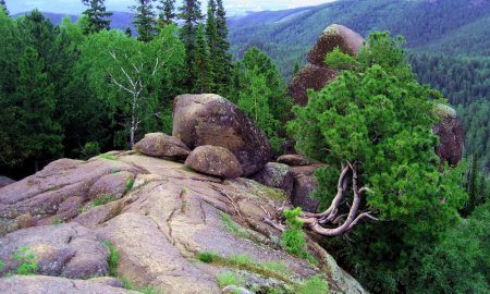 Горы раскраска для детей