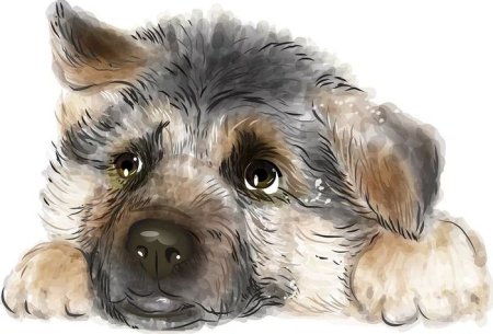 Бездомная собака морда