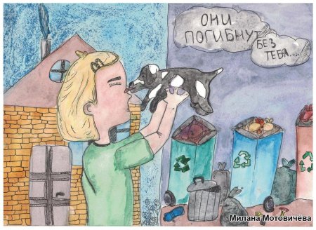 Бездомные животные рисунок